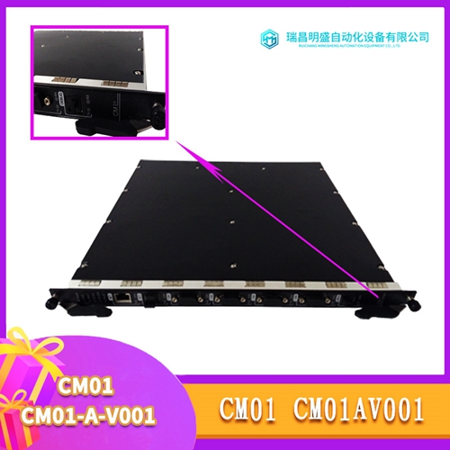 Schumacher 1491-1500P數(shù)字流量控制器
