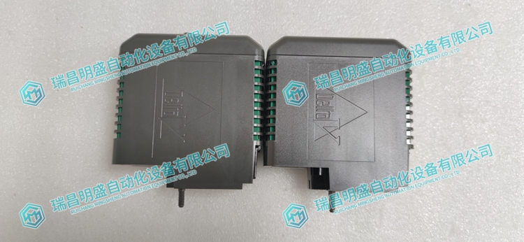 EMERSON CE4002S1T2B5 標(biāo)準(zhǔn)I/O接線板 